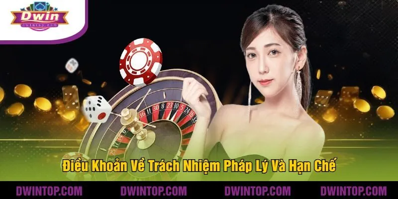 Điều Khoản Về Trách Nhiệm Pháp Lý Và Hạn Chế