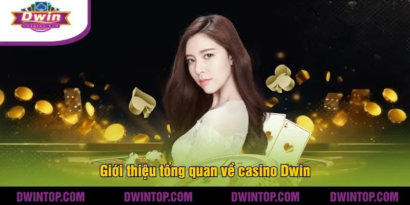 Giới thiệu tổng quan về casino Dwin